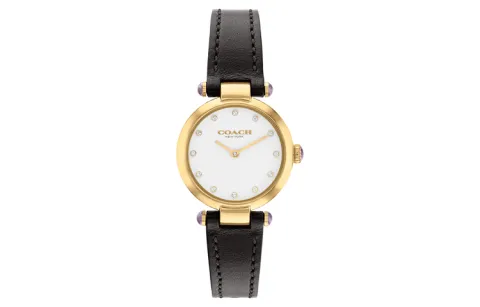 COACH CARY Wrist Watches Quartz Movement Leather Strap White Dial Women's Watch