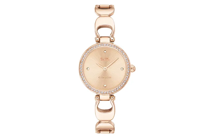 COACH PARK Wrist Watches Quartz Movement Steel Strap 26mm Gold Dial Women's Watch