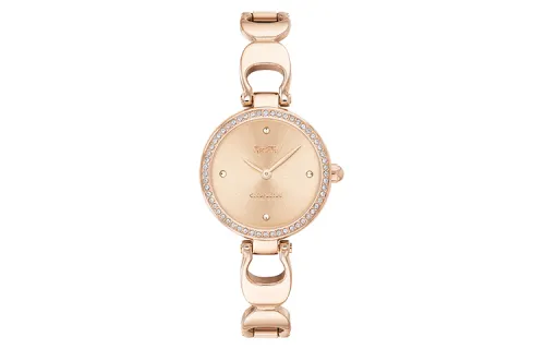COACH PARK Wrist Watches Quartz Movement Steel Strap 26mm Gold Dial Women's Watch