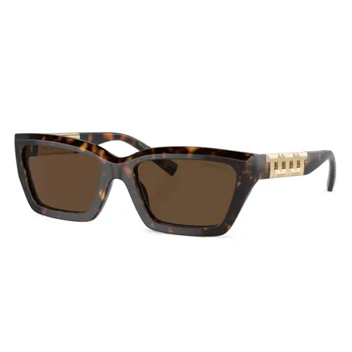 Tiffany & CO. Rectangle Frame Sunglasses