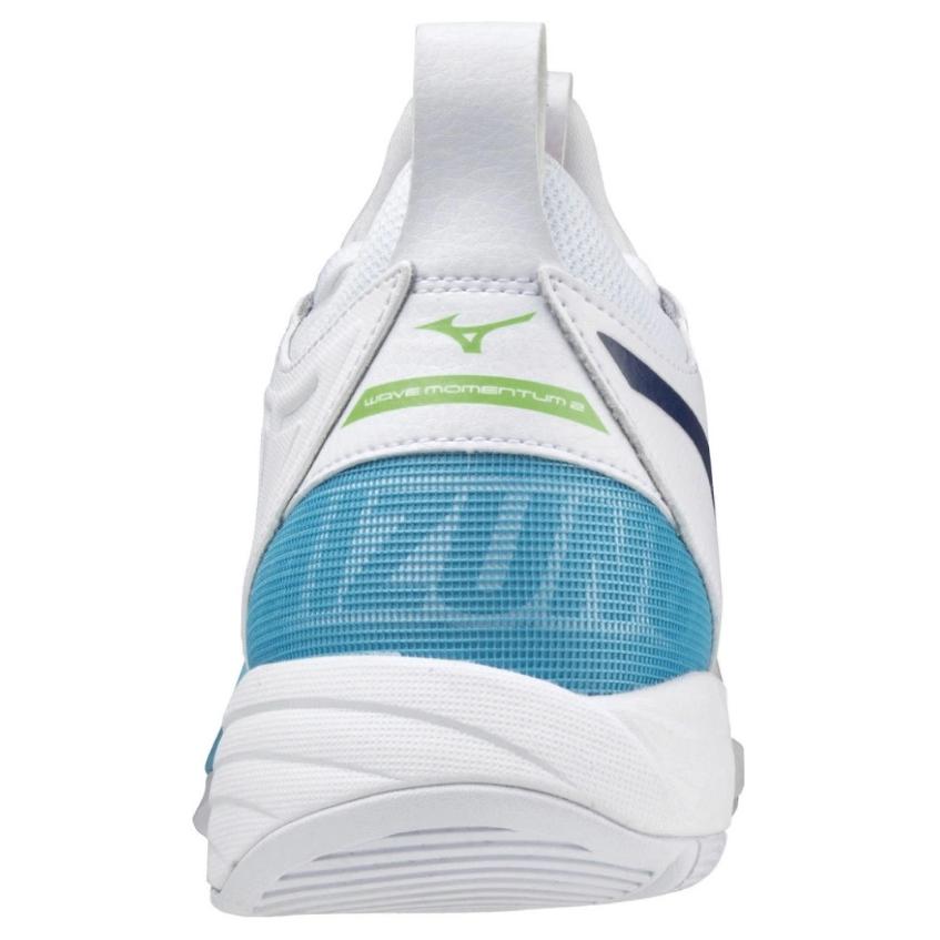 Mizuno Wave Momentum 2