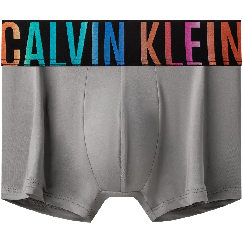 CALVIN KLEIN Boxer Briefs Men's 1 Pack