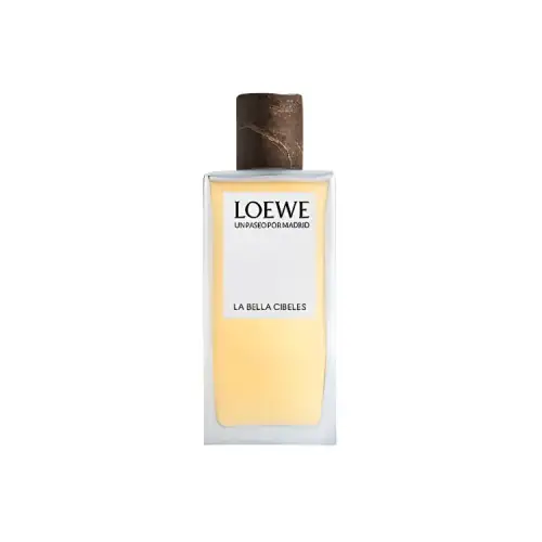 LOEWE Wander Madrid Goddess Square