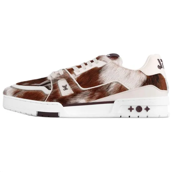 LOUIS VUITTON Trainer Skateboard Shoes Men Low-Top Brown