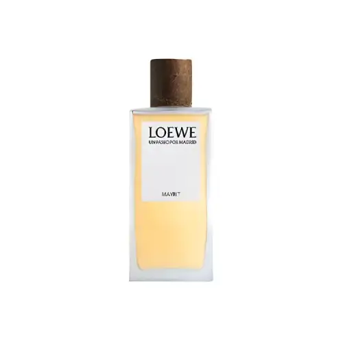 LOEWE Wander Madrid Dream Back