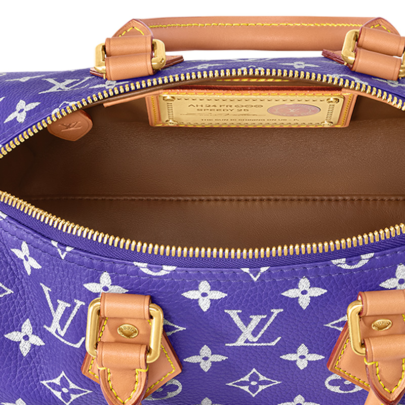 Сумка LOUIS VUITTON Speedy P9 Bandoulière 25 (коричневый) — фото 5