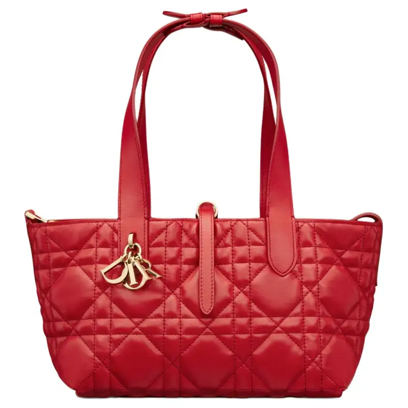DIOR Cow Leather One Shoulder Handbag Small Women's Red