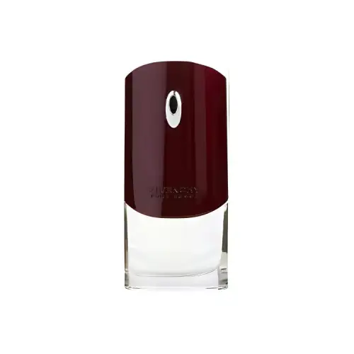 Givenchy Pour Homme Homonymous Men's