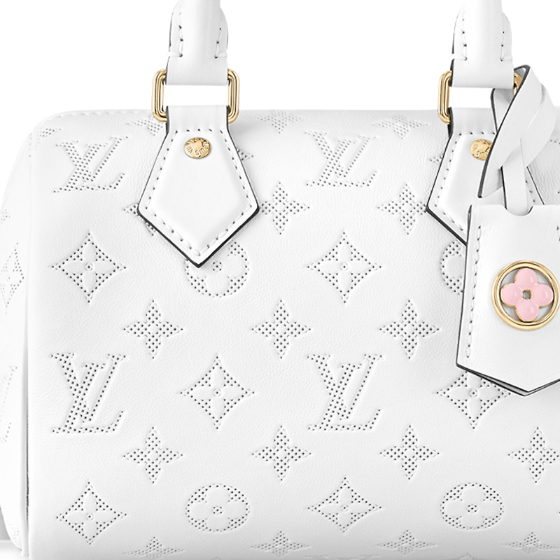 Женская сумка Louis Vuitton Speedy 20 (белая) — фото 4