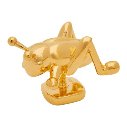 LOEWE Brass Brooches Women's Gold