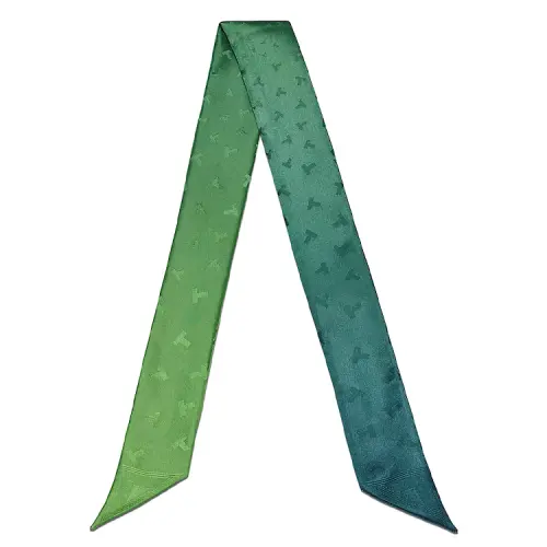 TIFFANY & CO. Silk Scarves Unisex Blue Green