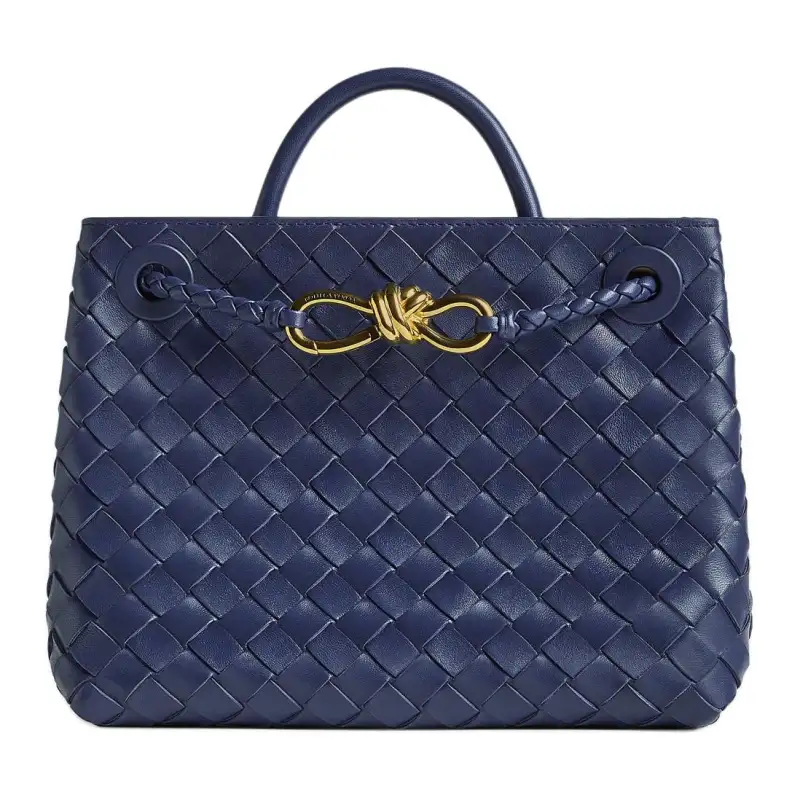 Bottega Veneta Andiamo Small Tote Bag