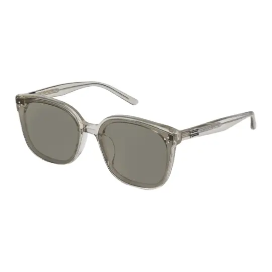 Gentle Monster By BRC11 sunglasses