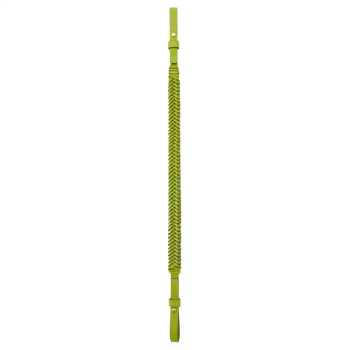 LOEWE Calfskin Shoulder Straps Women's Green