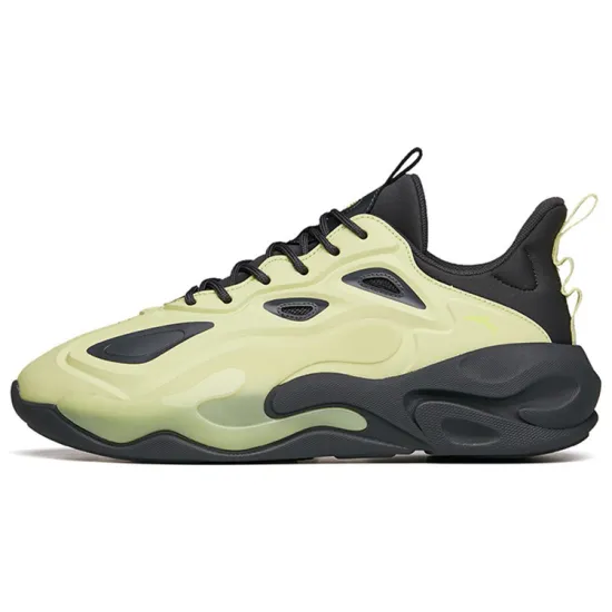 ANTA Chao Worship 2.0 Low-top Lifestyle Shoes Men