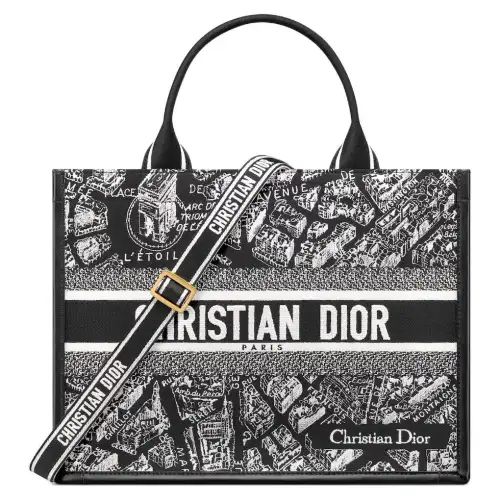 DIOR BookTote Handbags