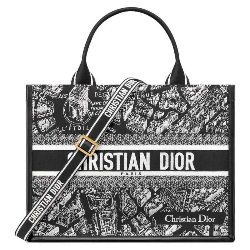 DIOR BookTote Handbags