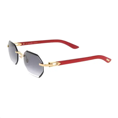 Cartier C Décor sunglasses