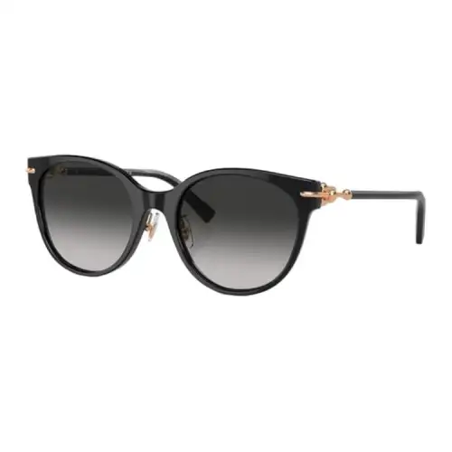 TIFFANY & CO. Panthos Frame Sunglasses
