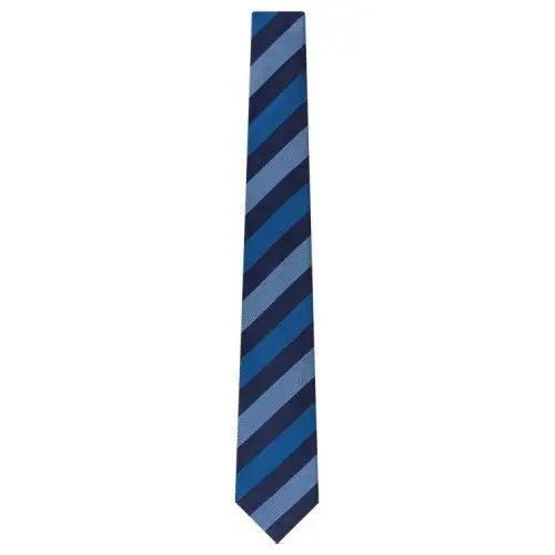 LOUIS VUITTON Ties Women's Blue