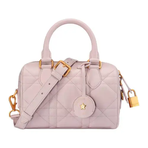 DIOR Groove Calfskin Portable Crossbody Bag, Shoulder Bag Small Women's Light Pink