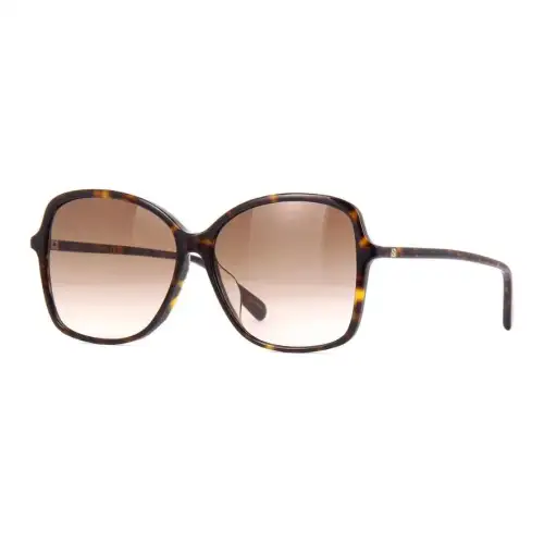 GUCCI Pre Owned 2010s Tortoiseshell Oversized frame Sunglasses