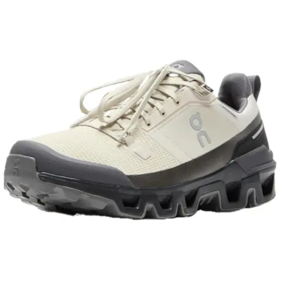 On Cloudwander Anti Slip Wear Resistant Low Top Running Shoes Men's Beige Black
