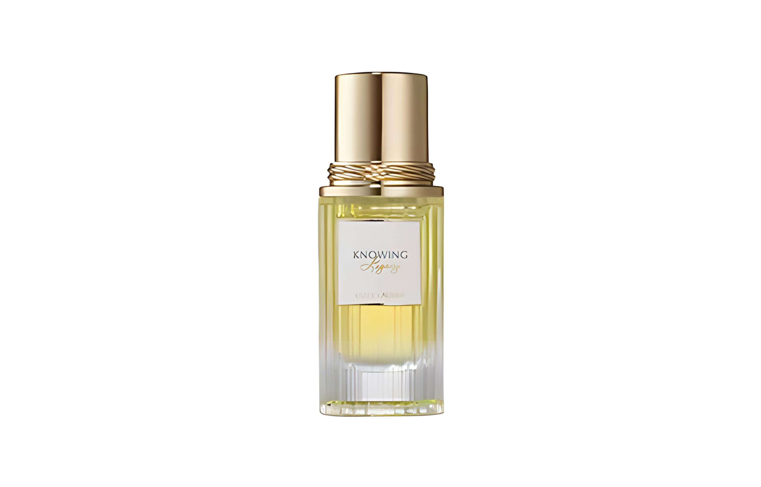 ESTEE LAUDER Collectible, A Subtle Yet Captivating Fragrance That Speaks Volumes Without Words