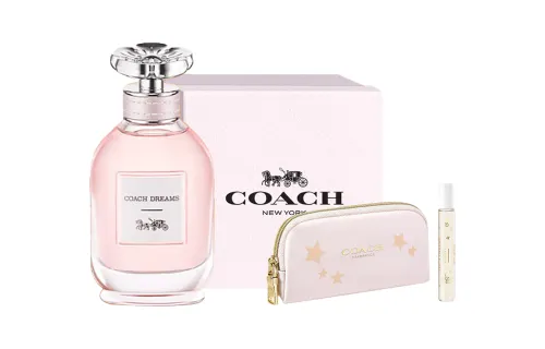 COACH Dream Journey
