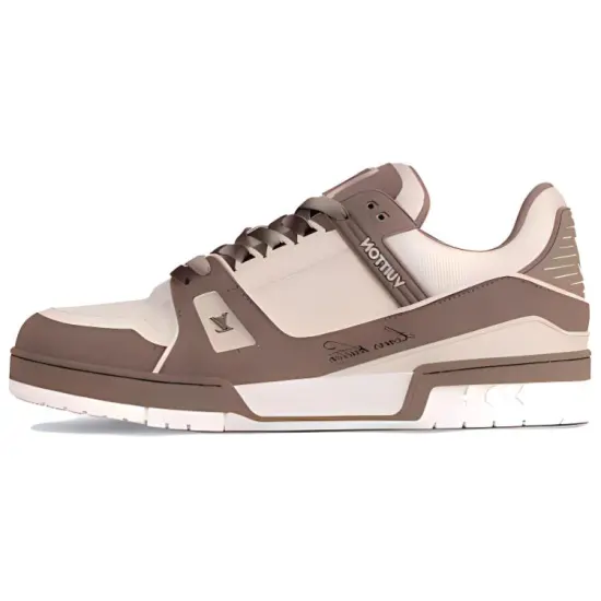 LOUIS VUITTON Trainer Skateboard Shoes Men Low-Top Brown