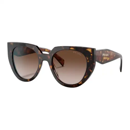 PRADA Acetate Oval Sunglasses Unisex Tortoiseshell