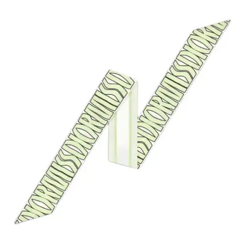 DIOR Silk Scarves Women's Light Green