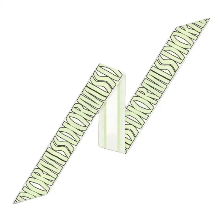 DIOR Silk Scarves Women's Light Green