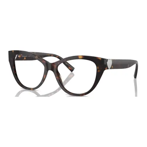 TIFFANY & CO. Acetate Metal Cat Eye Eyeglass Frames Women's Tortoiseshell