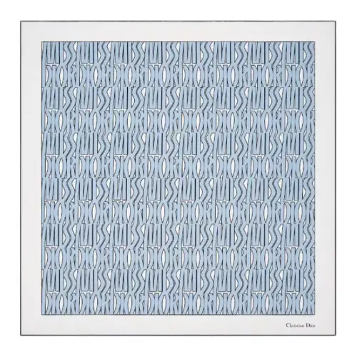 DIOR Silk Scarves Women's Light Blue