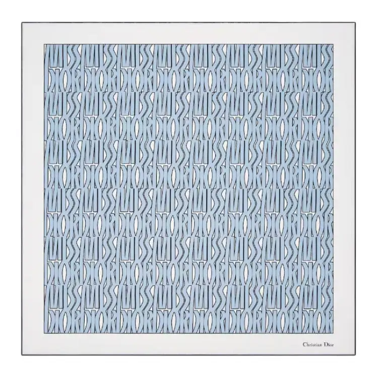 DIOR Silk Scarves Women's Light Blue