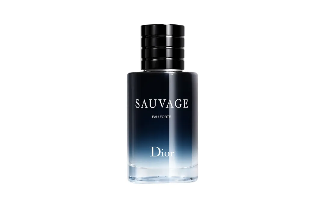 DIOR Wilderness Refreshing Eau De Parfum Men's Perfumes Woody Parfum Spices Musk Lavender 60ml/100ml