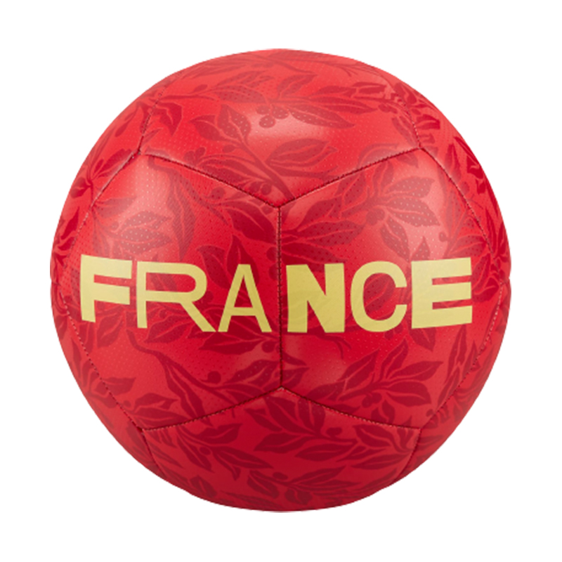 Nike Soccer Ball