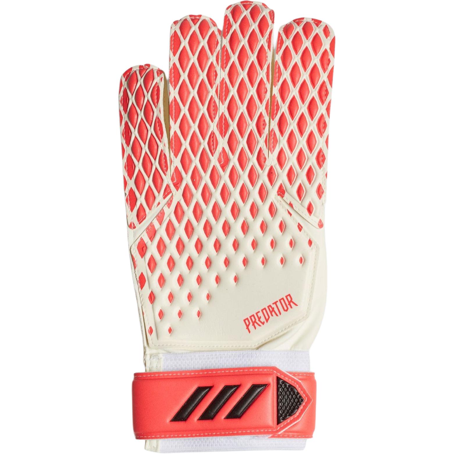 Adidas Goalkeeper Gloves
