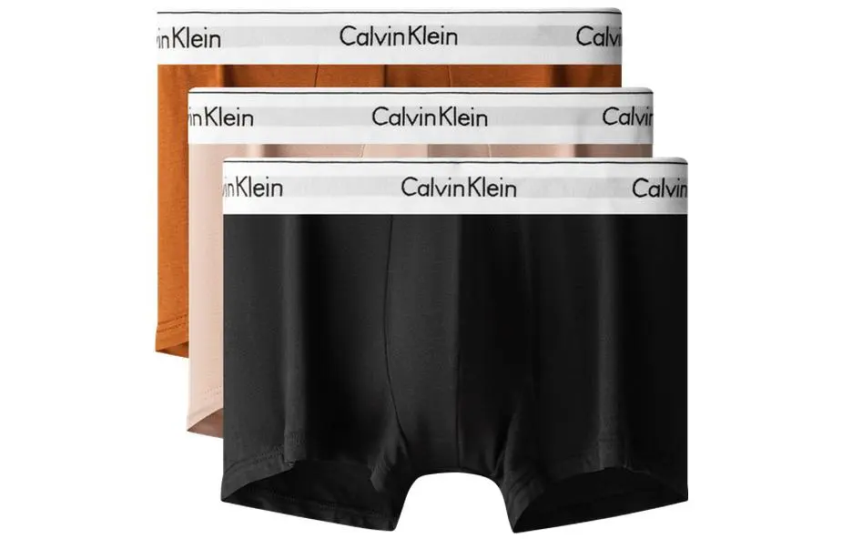 CALVIN KLEIN FW22 Boxer Briefs Men's 1 Set 3 Pack