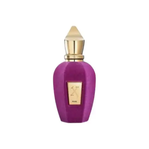 XERJOFF V Muse Perfume Fruity Chypre Perfume EDP 100ml