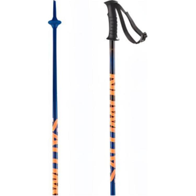 SALOMON Ski Poles