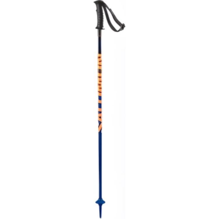 SALOMON Ski Poles