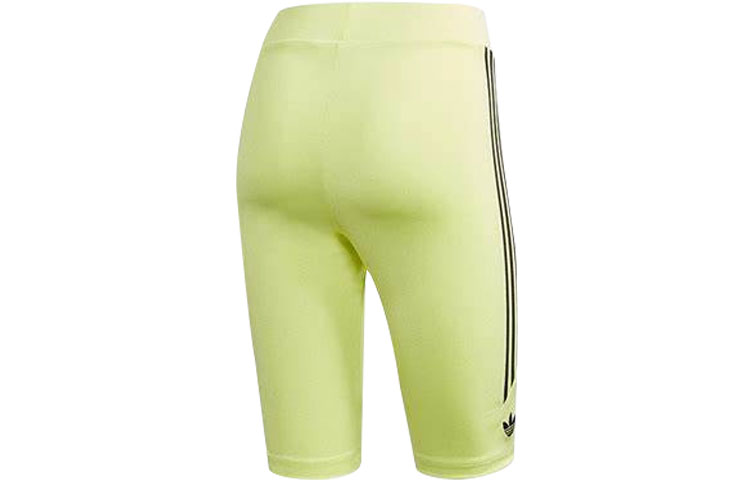 Adidas Originals SEFRYE Sports Shorts Women’s Green Moderate Tight Pants