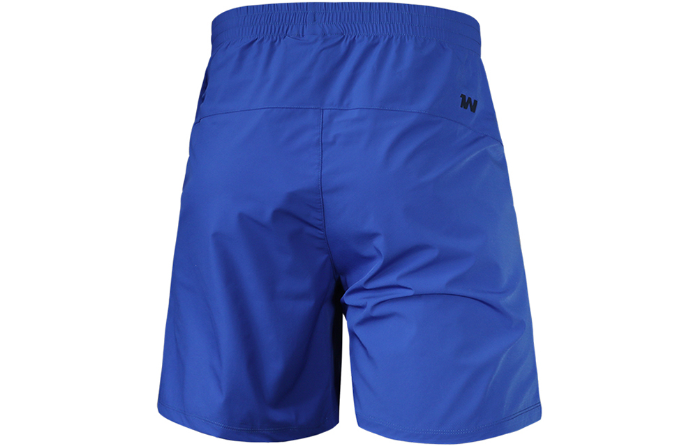 Under Armour Shorts Men’s Royal Blue