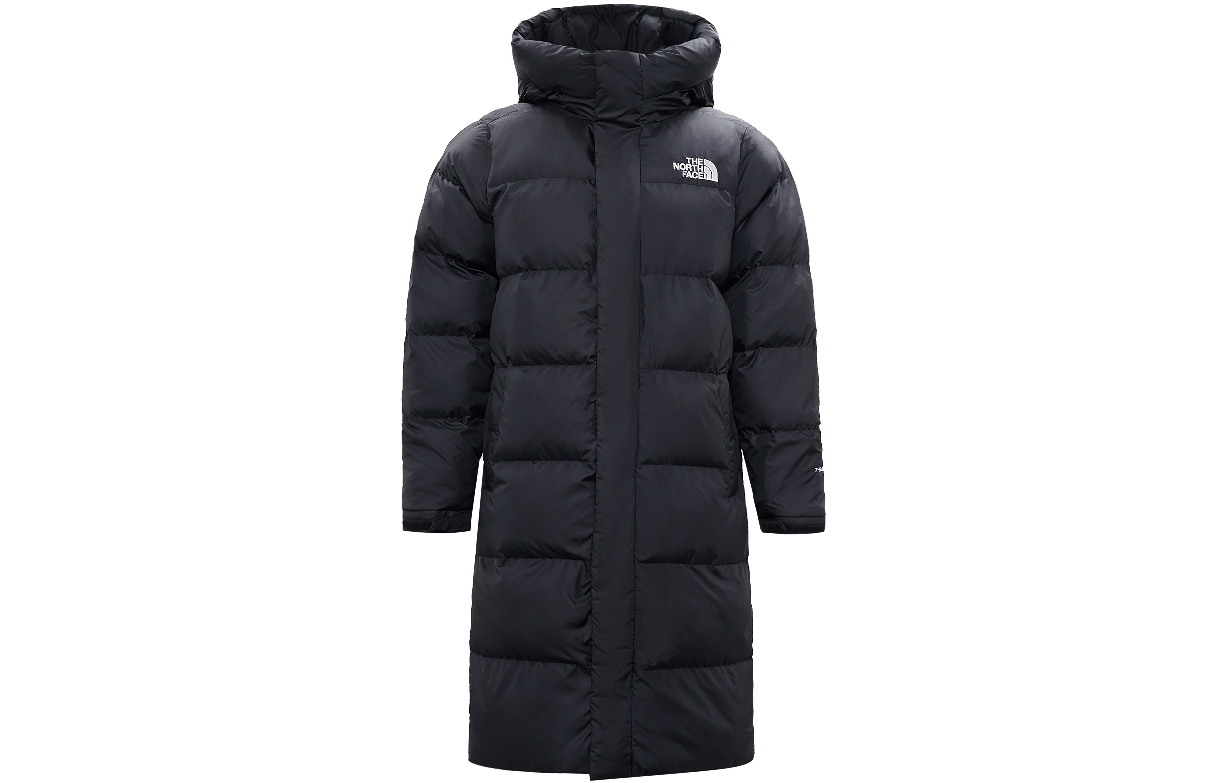 THE NORTH FACE FW23 Logo     