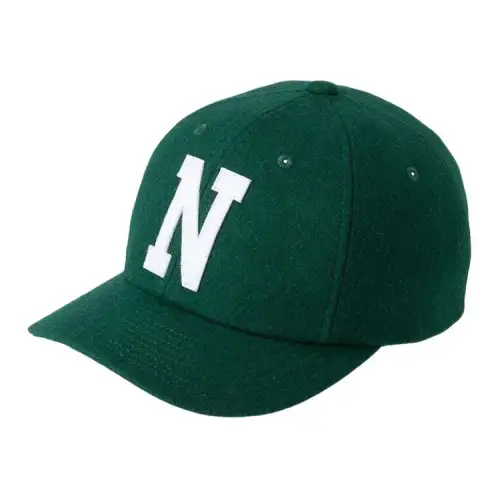 THE NORTH FACE Flannel Baseball Caps Unisex Grass Green
