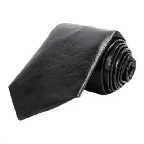Bottega Veneta Ties Men's Black