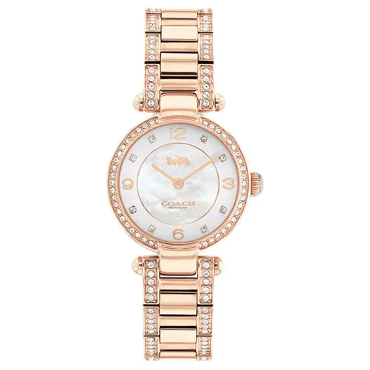 COACH CARY Wrist Watches Quartz Movement Stainless Steel Watchband 28mm Mother of Pearl Color Watch Dial Women's Watch