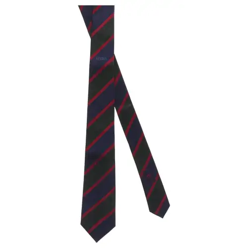 GUCCI Silk Ties Men's Multicolor